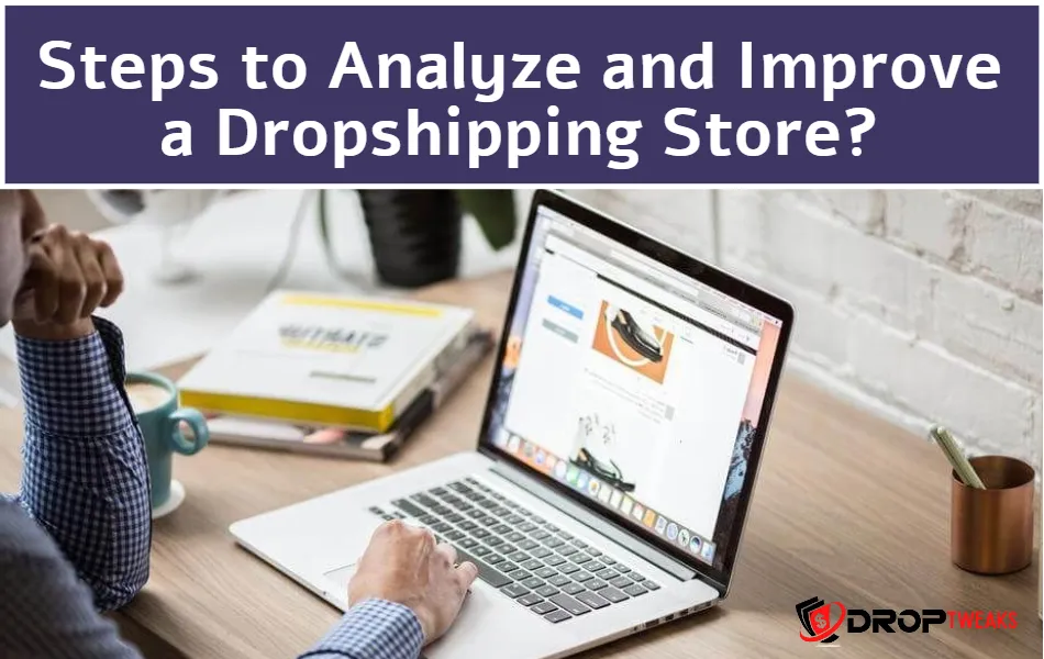 Analyze and Improve a Dropshipping Store