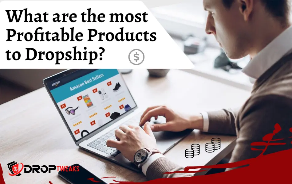 What are the Most Profitable Products to Dropship in 2024?