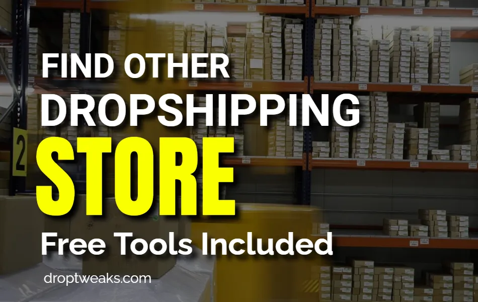 Find other dropshipping Stores
