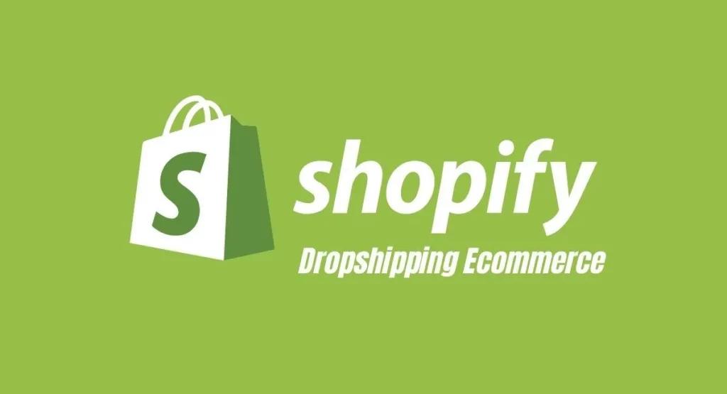 Shopify-based Dropshipping Stores