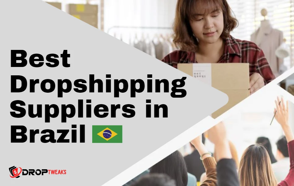 Best Dropshipping Suppliers in Brazil